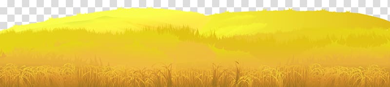 Sunlight Sky Yellow Grain Cereal, Autumn Ground transparent background PNG clipart
