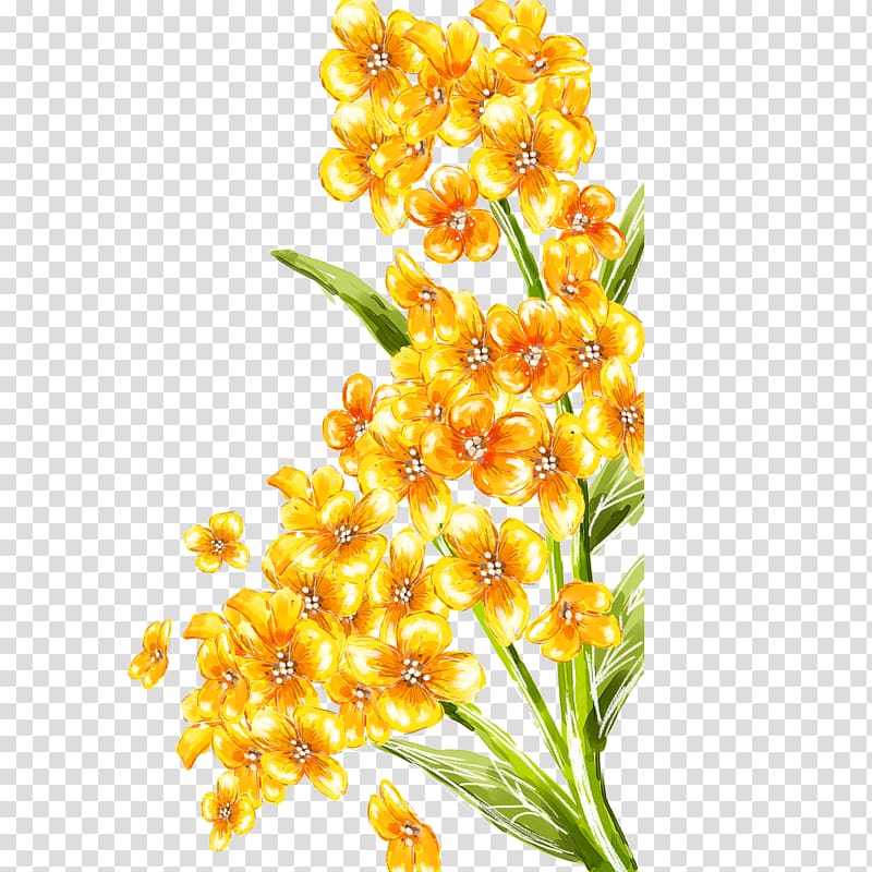 yellow petaled flower illustration, Floral design Flower bouquet, bouquet transparent background PNG clipart
