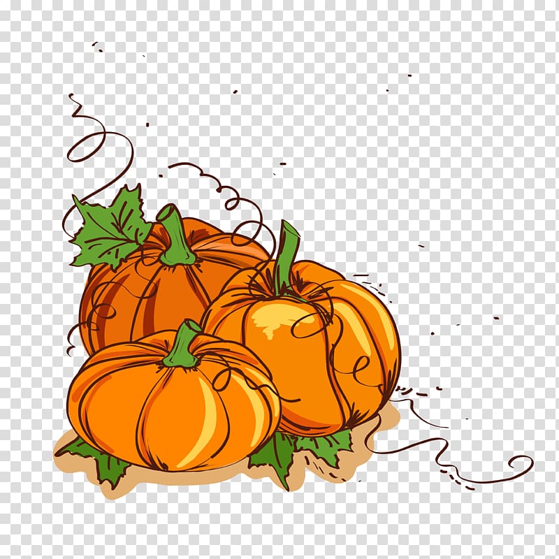 Thanksgiving dinner Pumpkin , Painted Thanksgiving pumpkin illustration material transparent background PNG clipart