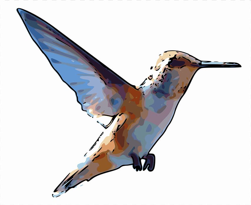 Rufous hummingbird , rambo transparent background PNG clipart