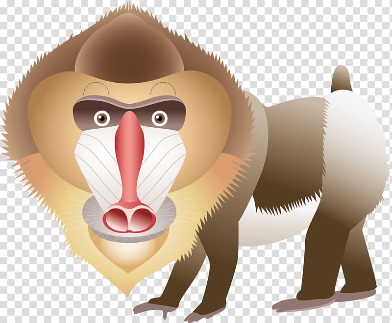 Cercopithecidae Mandrill, others transparent background PNG clipart