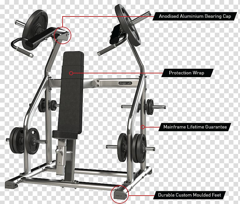 Fitness Centre Strength training Overhead press Physical fitness Weight training, shoulder press transparent background PNG clipart