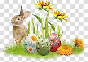 Bunny Easter Egg 10835245 PNG