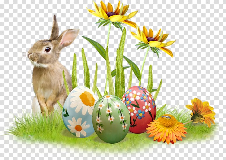 Easter Bunny Taxi Philippe Briquet Egg hunt Easter egg, easter frame transparent background PNG clipart