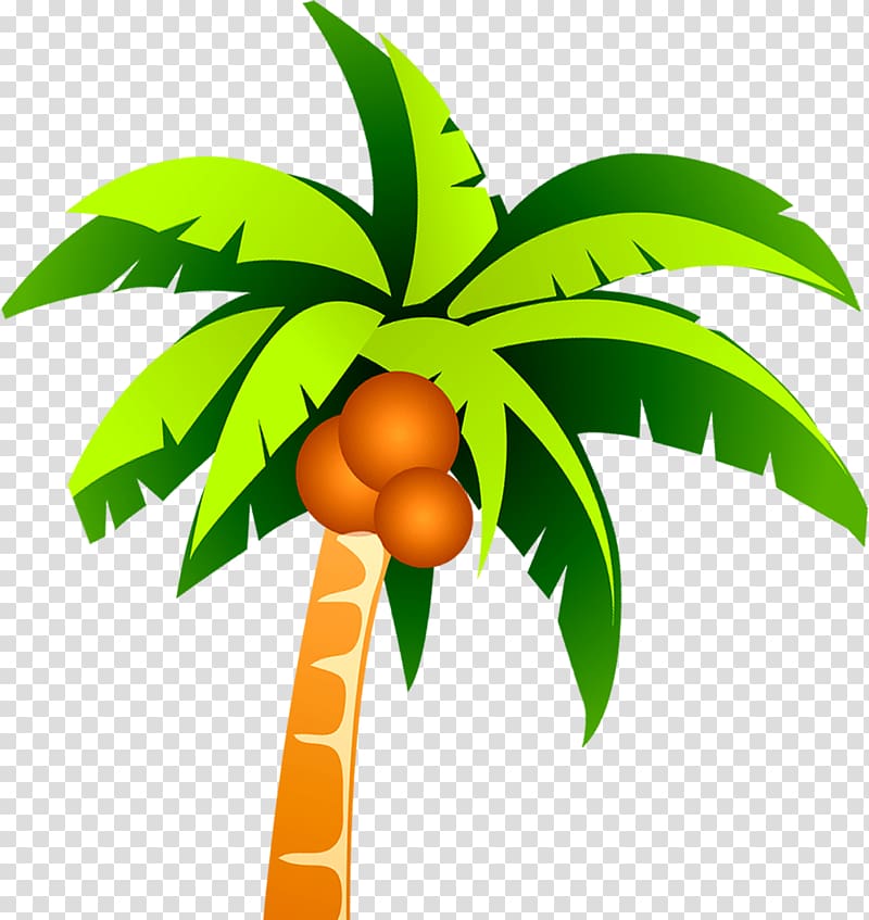 palm tree illustration, Coconut Tree , Coconut tree material transparent background PNG clipart