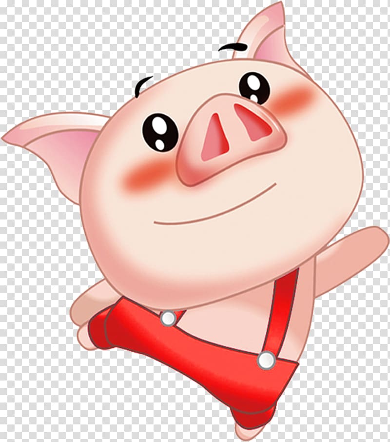 Domestic pig , Shy cute little pig transparent background PNG clipart