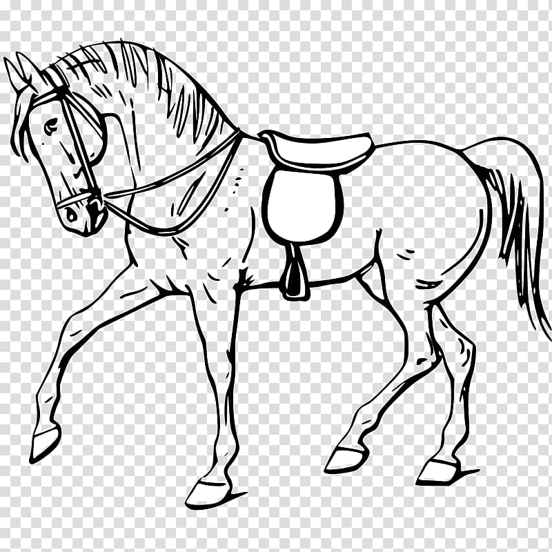Tennessee Walking Horse Drawing Show jumping , Animal Outline transparent background PNG clipart