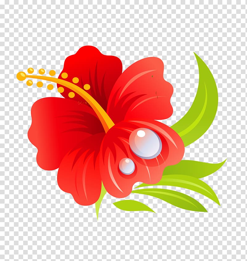 red Hibiscus illustration, Hawaiian hibiscus Hawaiian hibiscus Drawing , Summer beach floral transparent background PNG clipart