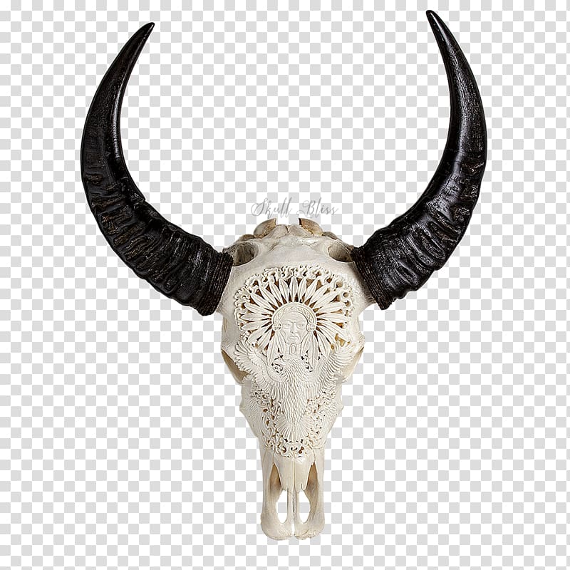 Carabao Cattle Horn Skull Head, skull transparent background PNG clipart