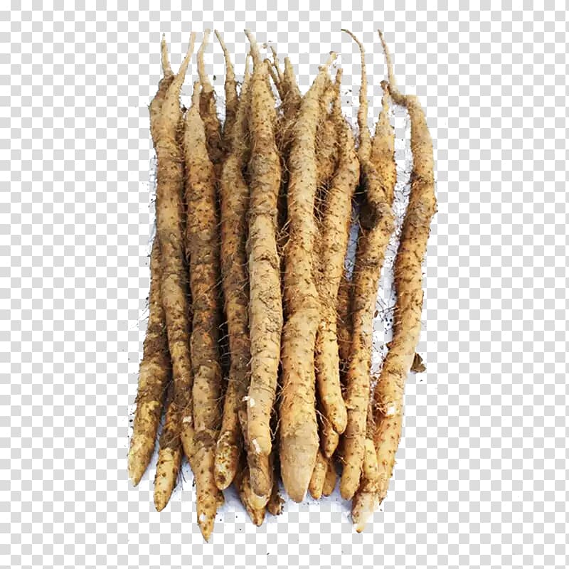 Chinese yam Vegetable, Iron yam transparent background PNG clipart