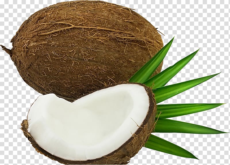 Coconut water, coconut tree transparent background PNG clipart