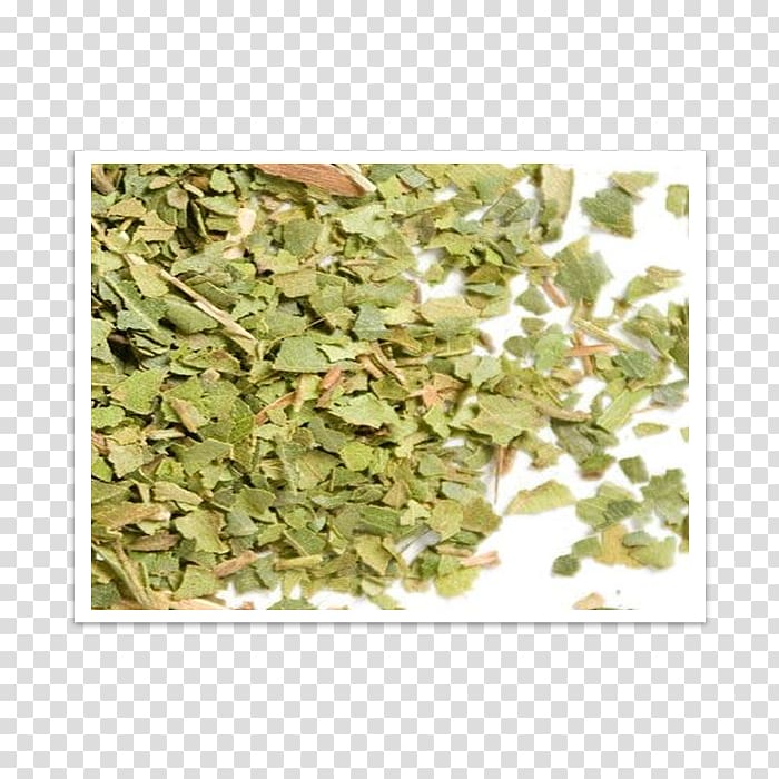 Herb Lemon myrtle Leaf Camouflage, myrtle transparent background PNG clipart