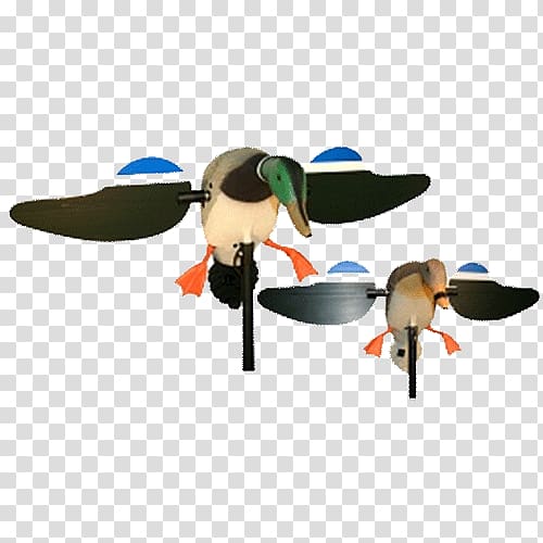 Mallard Duck decoy Duck decoy Hunting, duck transparent background PNG clipart