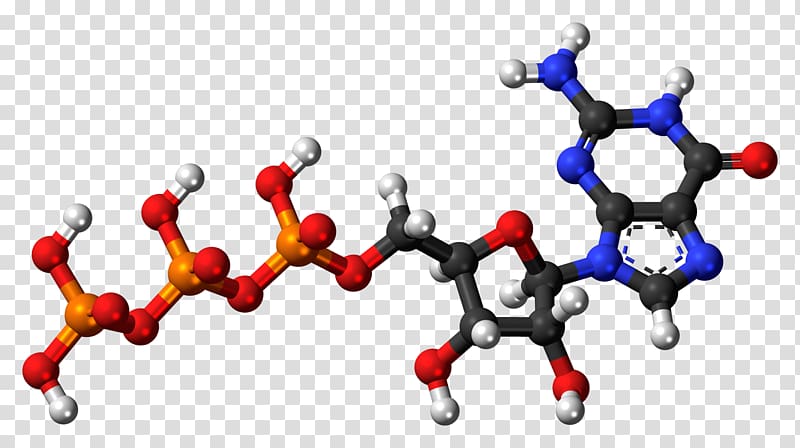 Uridine monophosphate Deoxyguanosine Uridine diphosphate Uridine triphosphate, others transparent background PNG clipart