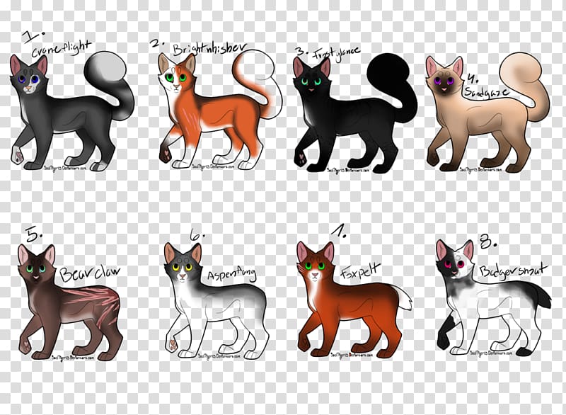 Popular cat names Dog breed Warriors, Cat transparent background PNG clipart