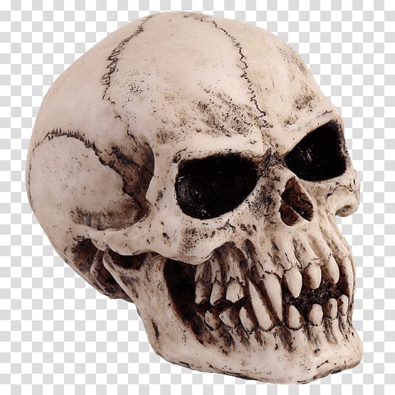 Vampire Skull Totenkopf Goth subculture Skeleton, Vampire transparent background PNG clipart