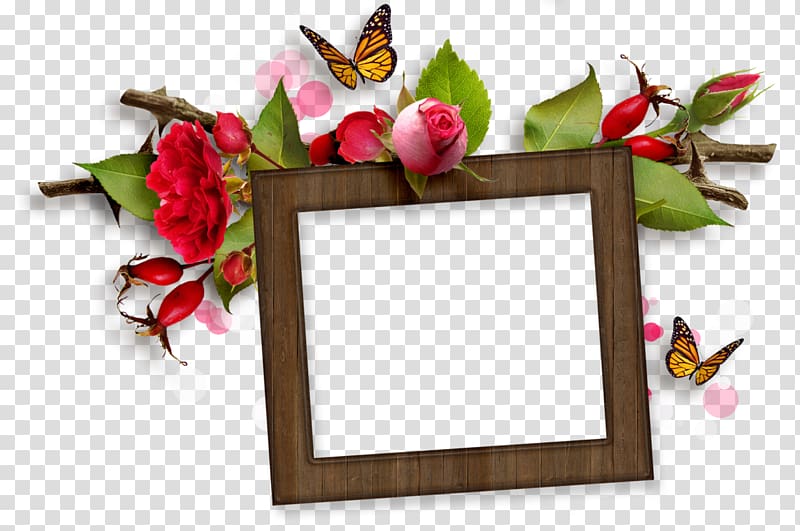 Flower Frames Floral design Garden roses, flower transparent background PNG clipart