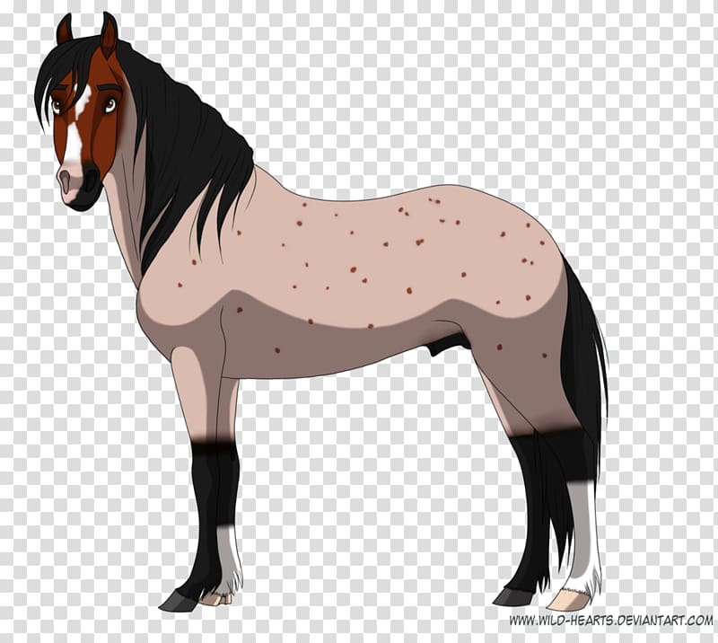 Mustang Stallion Mare Pony Mane, mustang transparent background PNG clipart