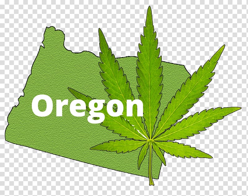 Cannabis in Oregon Cannabis in Oregon Medical cannabis Recreational drug use, marijuana transparent background PNG clipart