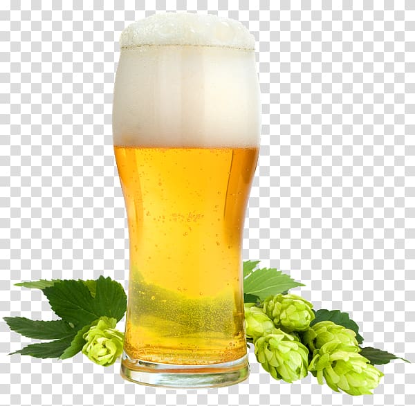 Beer Asahi Breweries Guangzhou Zhujiang Brewery Group Distilled beverage, beer transparent background PNG clipart