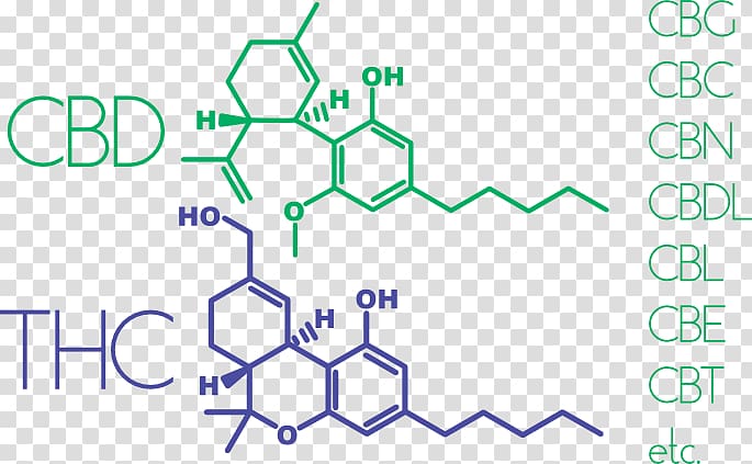 Cannabinoid Cannabis Tetrahydrocannabinol Cannabidiol Leer, medicinal material transparent background PNG clipart