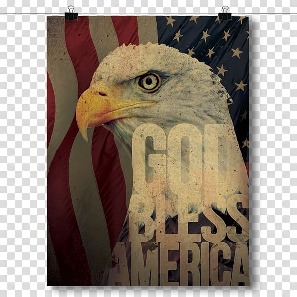 Bald Eagle Poster Beak Standard Paper size, eagle transparent background PNG clipart