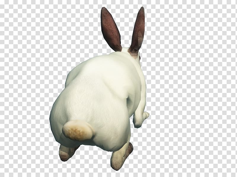 Domestic rabbit Hare Computer Icons, Free Of Rabbit Icon transparent background PNG clipart