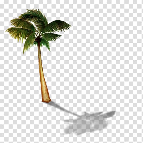 Arecaceae Hit single Summer hit 0, others transparent background PNG clipart