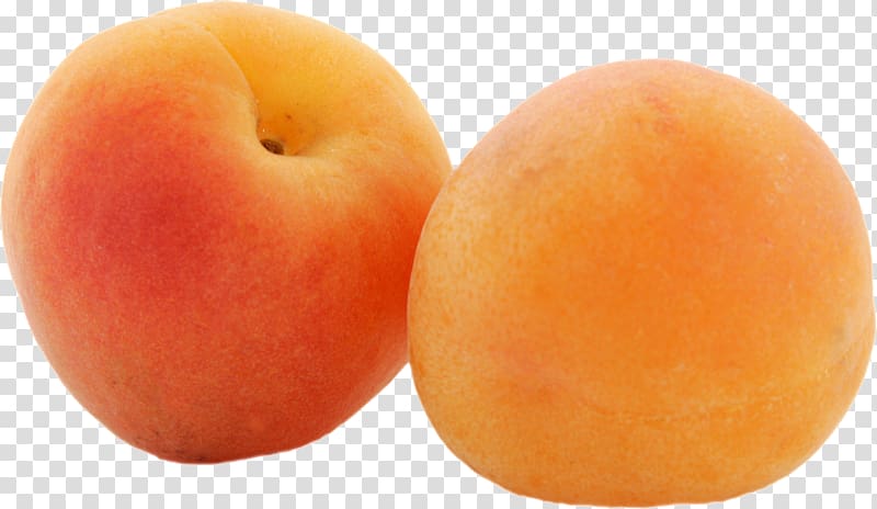 Apricot Kiwifruit, Apricot transparent background PNG clipart