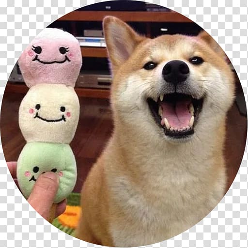Shiba Inu Dogecoin Internet meme, meme transparent background PNG clipart