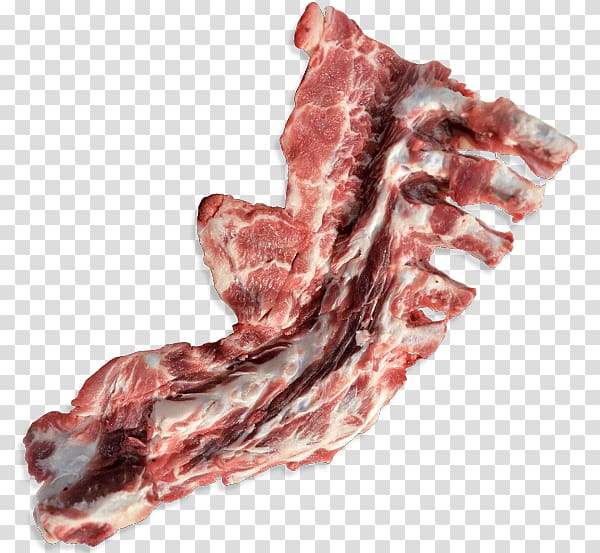 Capocollo Ham Bacon Pork Bone, ham transparent background PNG clipart