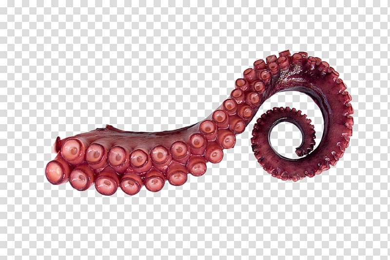 Giant Pacific octopus Squid Tentacle , others transparent background PNG clipart