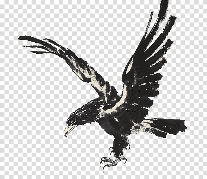 Eagle Ink wash painting, Eagle Fly transparent background PNG clipart