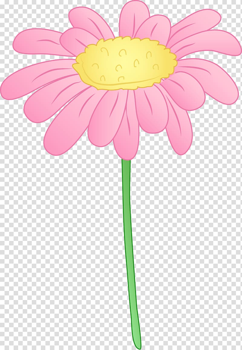 Free content Common daisy Pink , Daisy Flower transparent background PNG clipart