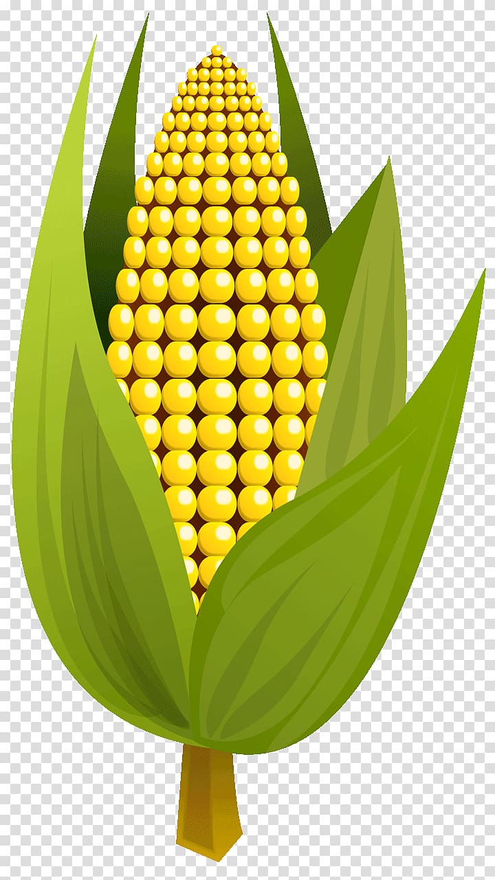 Corn on the cob Maize Corncob , others transparent background PNG clipart