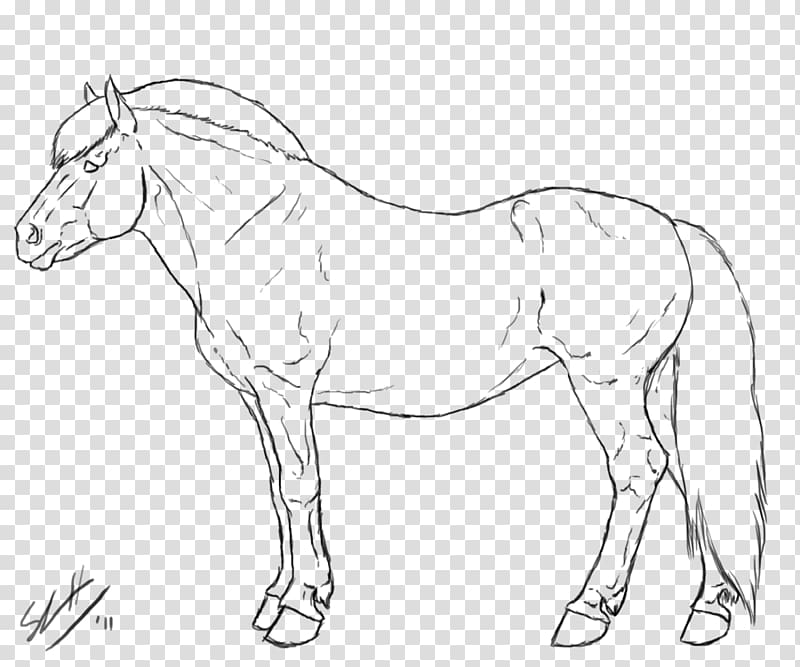 Mule Mustang Stallion Fjord horse Friesian horse, mustang transparent background PNG clipart