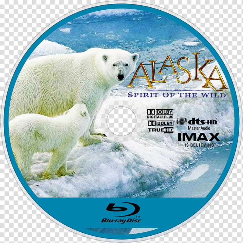 Polar bear Blu-ray disc 09738 Polar ice cap, polar bear transparent background PNG clipart