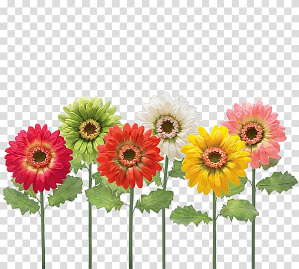 Color Green Common sunflower Red, flower transparent background PNG clipart
