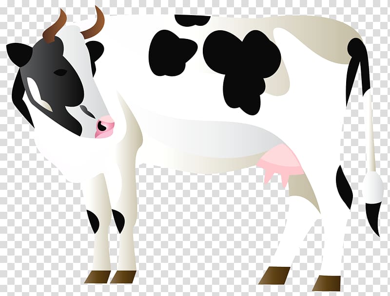 White Park cattle Sheep Dairy cattle , clarabelle cow transparent background PNG clipart