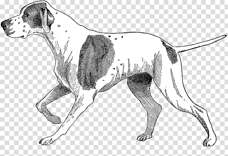 Old Danish Pointer English Foxhound American Foxhound Dog breed Harrier, people with animals transparent background PNG clipart