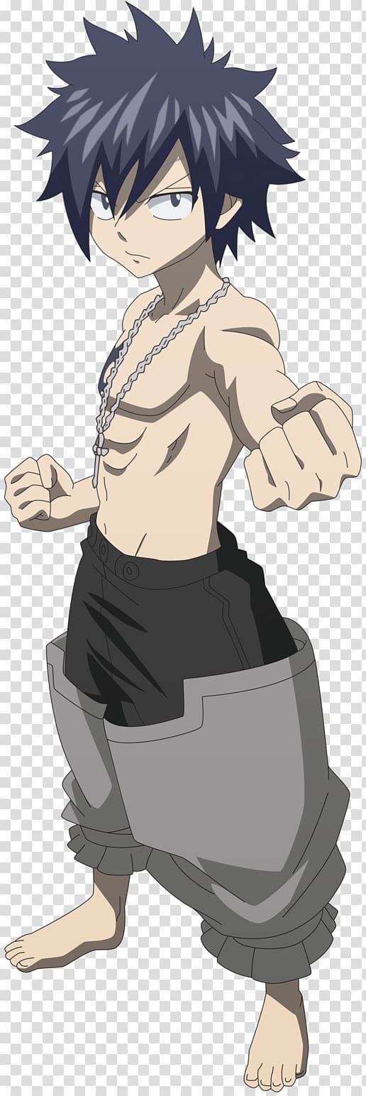 Gray Fullbuster Natsu Dragneel Fairy Tail Fairy tale, gray transparent background PNG clipart