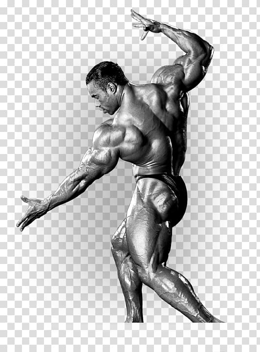 2016 Mr. Olympia 2017 Mr. Olympia Arnold Sports Festival Dietary supplement Bodybuilding, arnold schwarzenegger transparent background PNG clipart