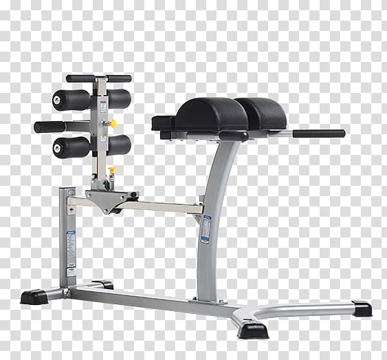 Hamstring Gluteal muscles Gluteus maximus Bench, Weightlifting Machine transparent background PNG clipart