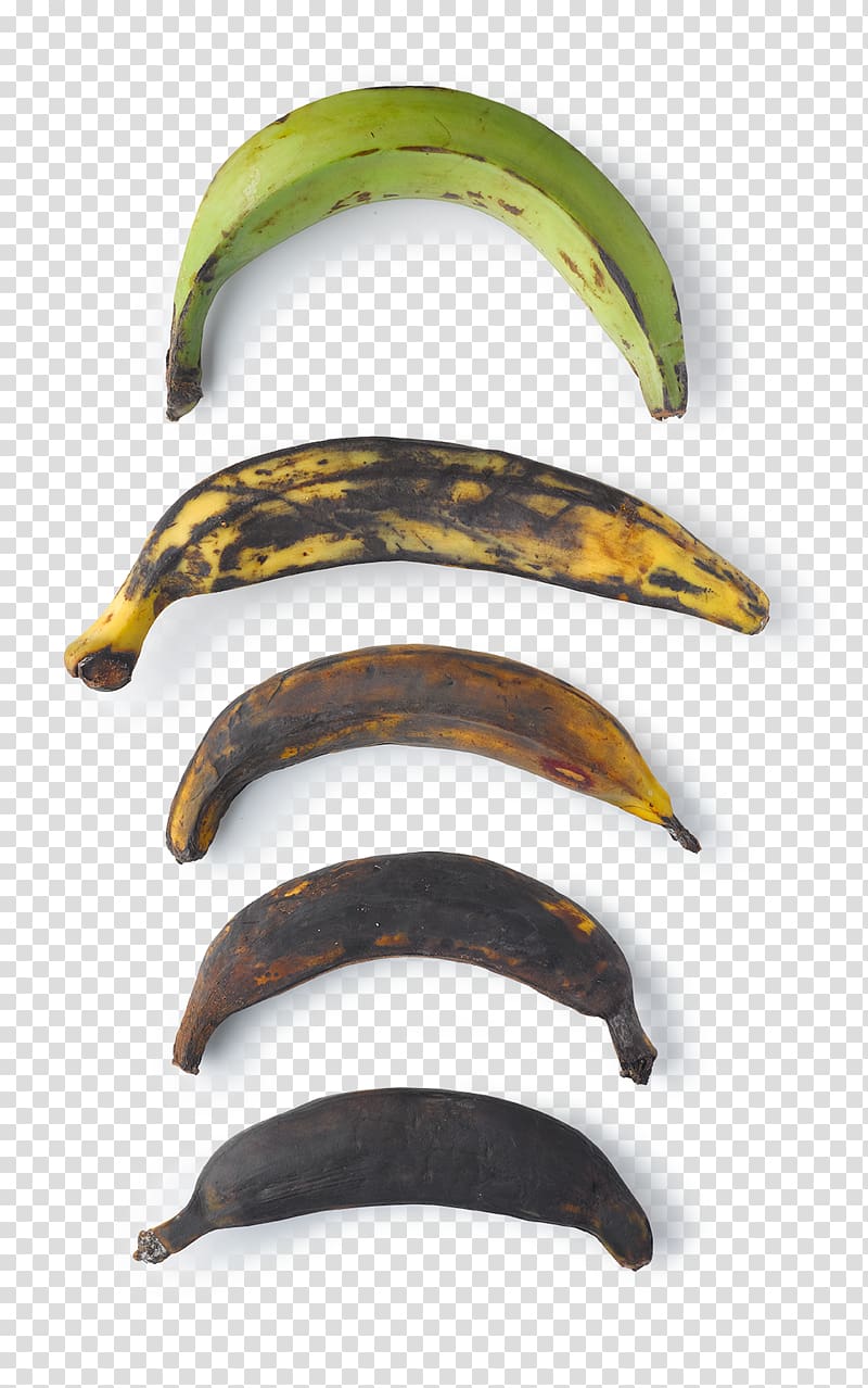 Fried plantain Cooking banana Keyword, banana transparent background PNG clipart