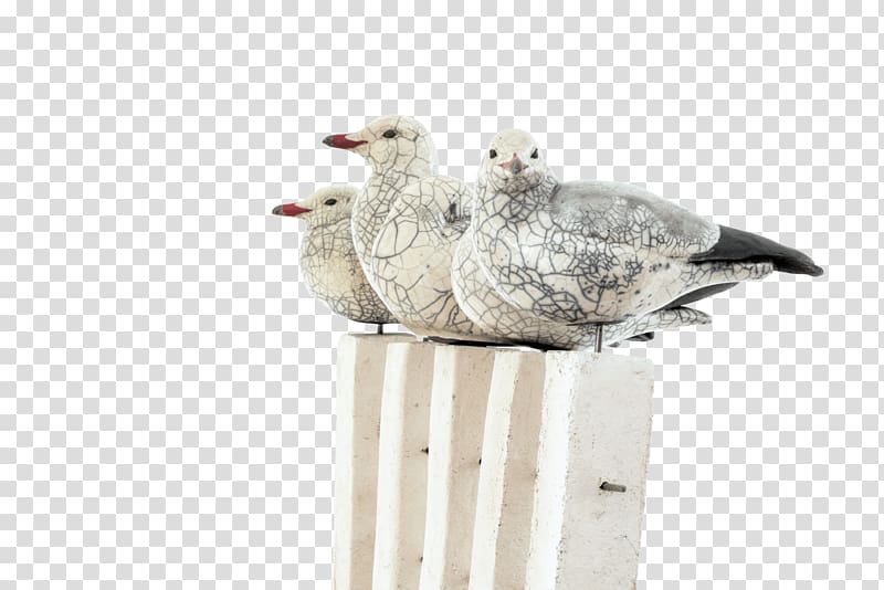 European Herring Gull Mouette Gulls Bird Ceramic, Bird transparent background PNG clipart