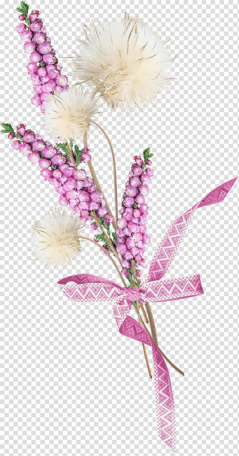 Baku Flower Festival Vecteur Watercolor painting, lavender transparent background PNG clipart