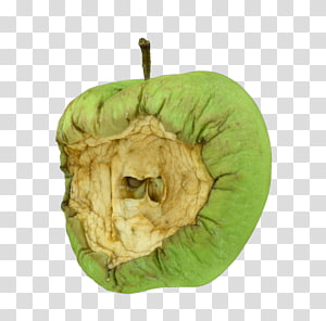 rotten apple core clip art