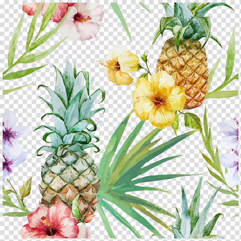 tropical plants transparent background PNG clipart