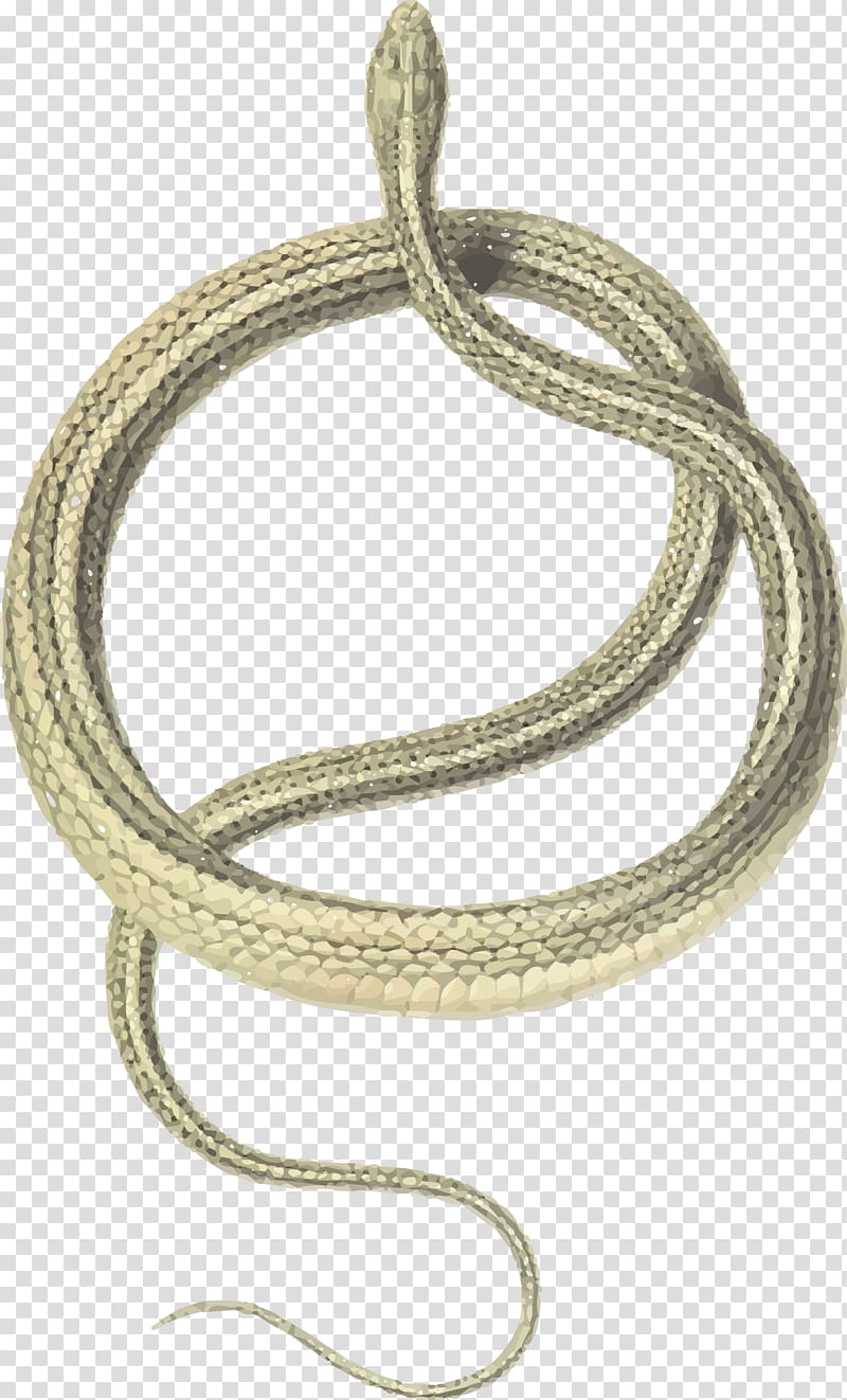 Green whip snake Coluber Balkan whip snake Shadow of the Snake, chain transparent background PNG clipart