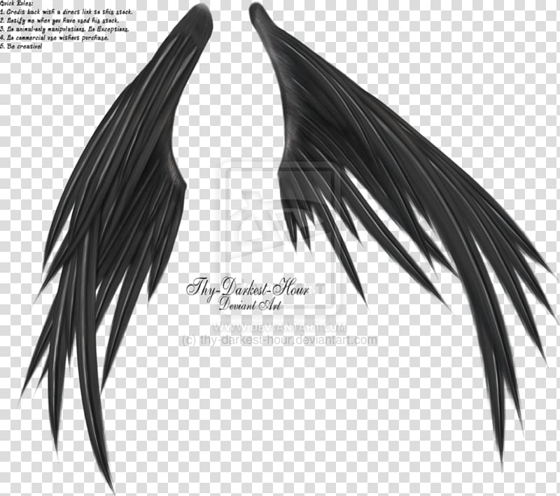 Wings of Madness Zeno Morf , others transparent background PNG clipart